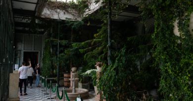 Атмосфера места: Воронцовский дворец
