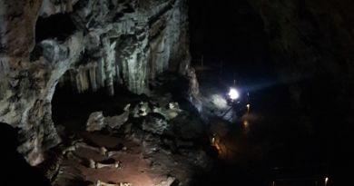 Экскурсии в Красная пещера из пгт Приморского 2024