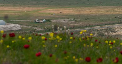 Интересный ракурс: Звездопад воспоминаний