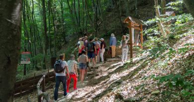 Панорамный вид: Большой Каньон Крыма