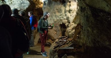 Экскурсии в Пещеру Таврида из пгт Приморского 2024