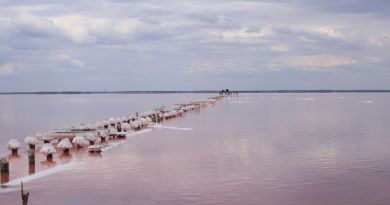 Экскурсии в Озеро Сасык-Сиваш (розовое озеро) из пгт Приморского 2024