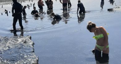 Экскурсии в Гора Митридат из пгт Приморского 2025